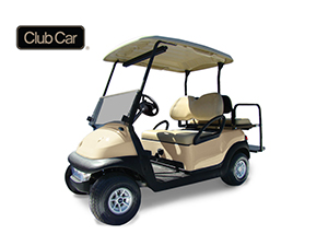 6 Seat Standard Golf Cart Rental