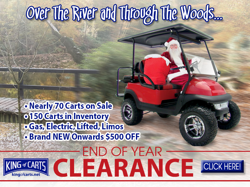 King of Carts Golf Cart Rentals Sales ServiceMyrtle Beach